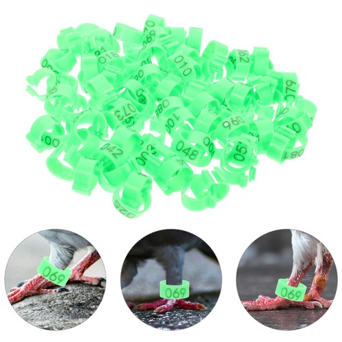 100 pcs homing - pcs,