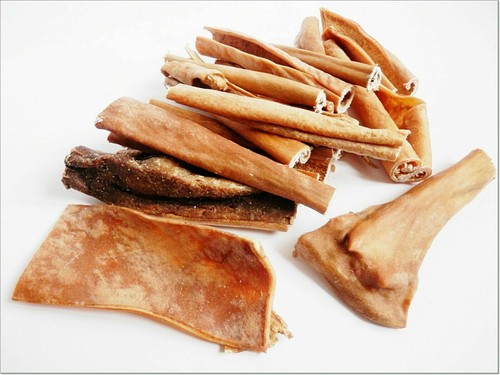 Dried buffalo bison - buffalo, hide