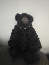 Cotswold Bear Called Murphy