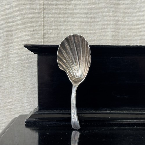 Antique 1790 georgian shell - 1790,