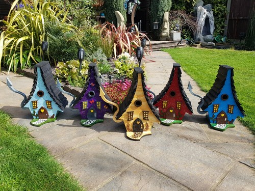 Quirky bird box nesting - quirky,