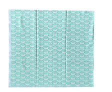 Heather Bailey Clementine Collection Posie Aqua 0.5m 100% Cotton Fabric