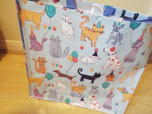 New cats and - new, party