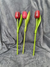 Amsterdam Wooden Tulips