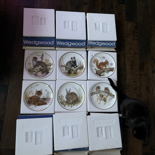 Set plates wedgwood - of,