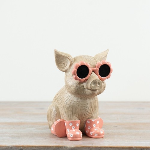 Sitting pig sunglasses and - sitting,