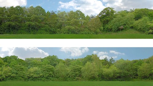 Just trees gauge backscene - oo,