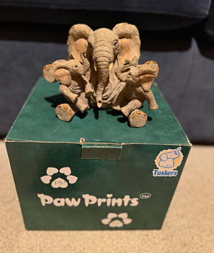 Paw prints elephant family - prints,