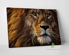 Lion Head Canvas Art Wall Art