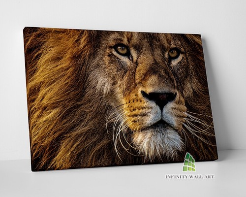 Lion head canvas art wall - art,