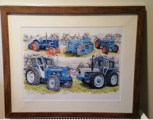 Framed picture print - framed,