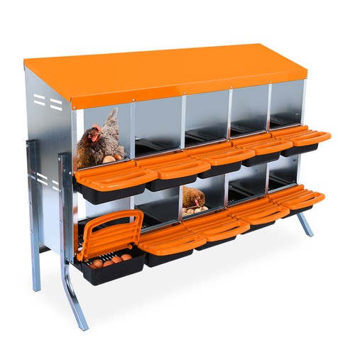 Compartment chicken - 6/8/10-compartment,