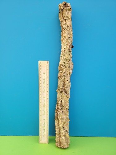 Cork bark branch 51cm snake - cork,