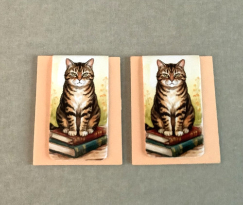 Cat magnetic bookmarks - 2x,