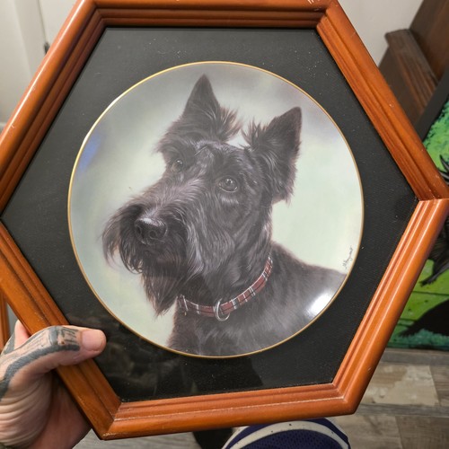 Danbury mint collecter - danbury,
