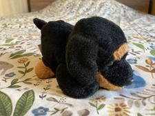 Cute Floppy Doberman Puppy Dog