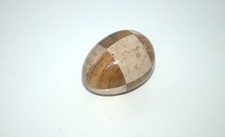 Decorative Stone eggs segmented 