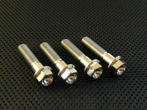 Aprilia tuono titanium - titanium, front