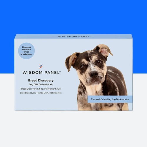 Wisdom panel breed discovery - panel,