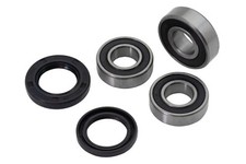 As3 rear wheel bearing seal - wheel,