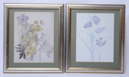 Two framed botanical - framed,