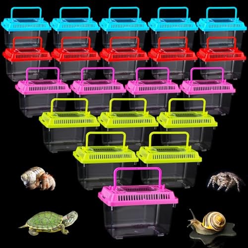 Pack small plastic reptile - 20,