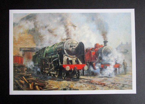Alan fearnley x - alan,