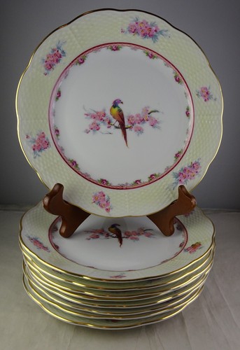 Eichwald exotic bird - bird, salad