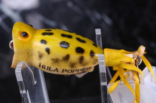 Fred arbogast hula popper frog - fred,