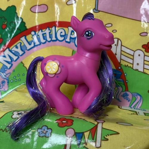 Little pony sand dollar - my,