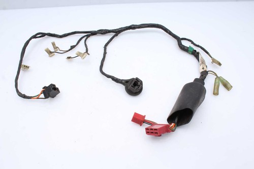 Wiring harness main wiring