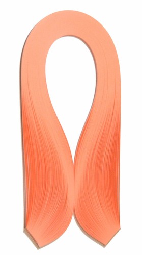 125 quilling paper - strips, in