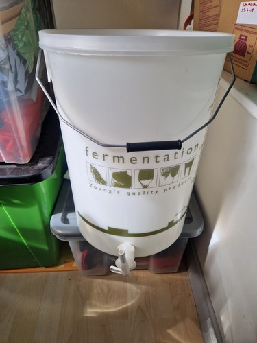 Home beer brewing kit - beer,