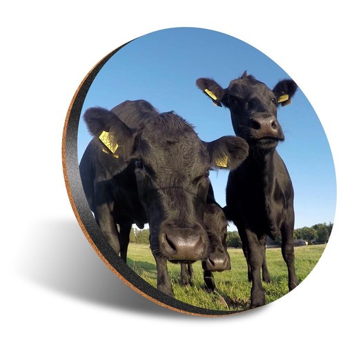 Round coaster 12cm - round,