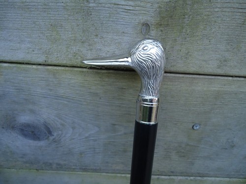 Silver wader bird - silver, head