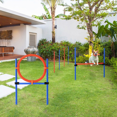 Pet agility set training play - agility,