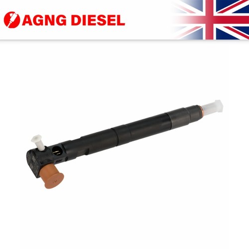 Delphi diesel fuel injector - delphi,
