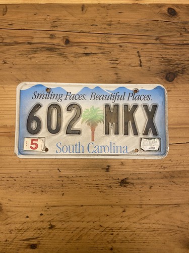 Vintage south carolina smiling - south,