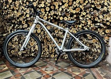 Early Rider Belter 20 Kids