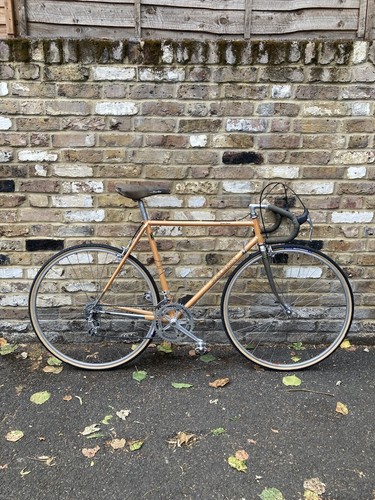 Vintage raleigh campagnolo - vintage,