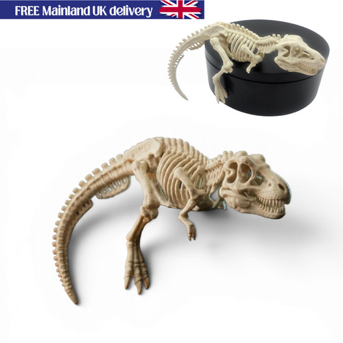 Skeleton rex 3d printed - rex,