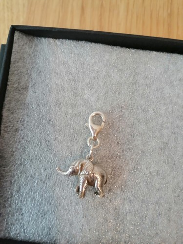 Gorgeous solid silver elephant - gorgeous,