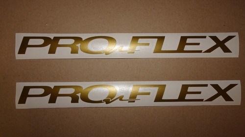 Proflex gold frame bicycle - proflex,