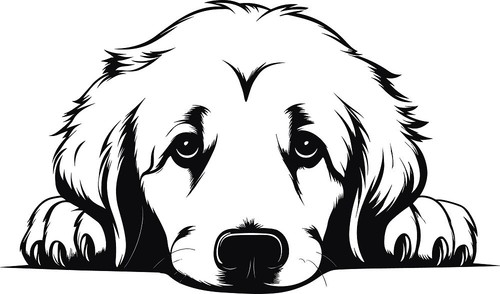 Personalised puppy dog - puppy, i