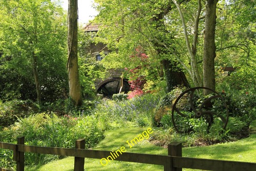 Photo 6x4 garden - 6x4, of