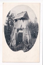 Australiana Giant Tree House