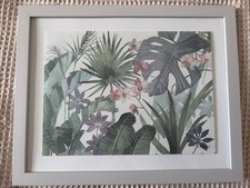 Adelene Fletcher Succulents 1