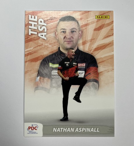 2024 panini pdc - panini,