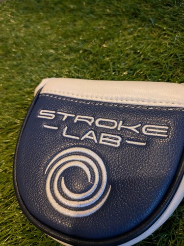 Odyssey stroke lab - stroke,