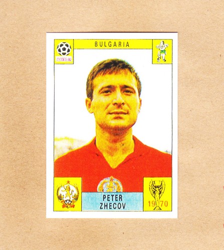 Panini fifa world - -,
